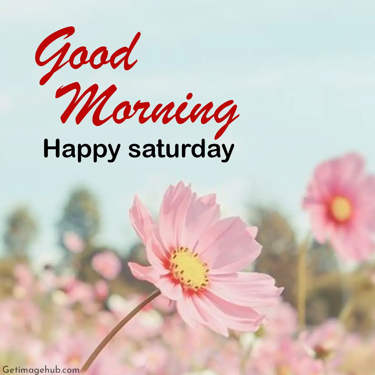 good morning saturday images