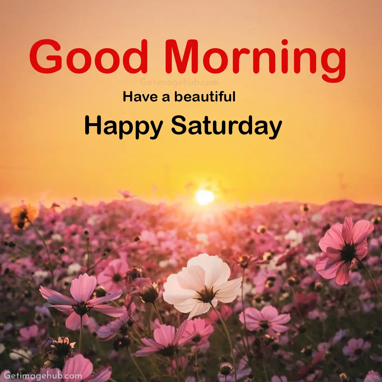 good morning saturday pic