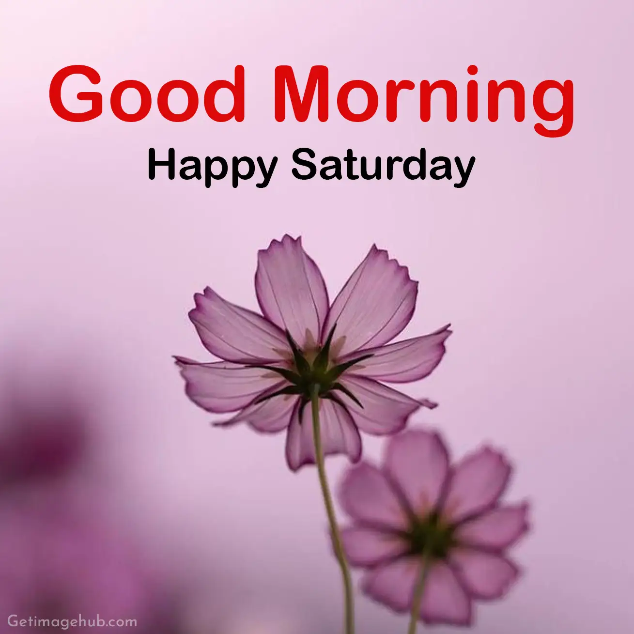 good morning saturday picture