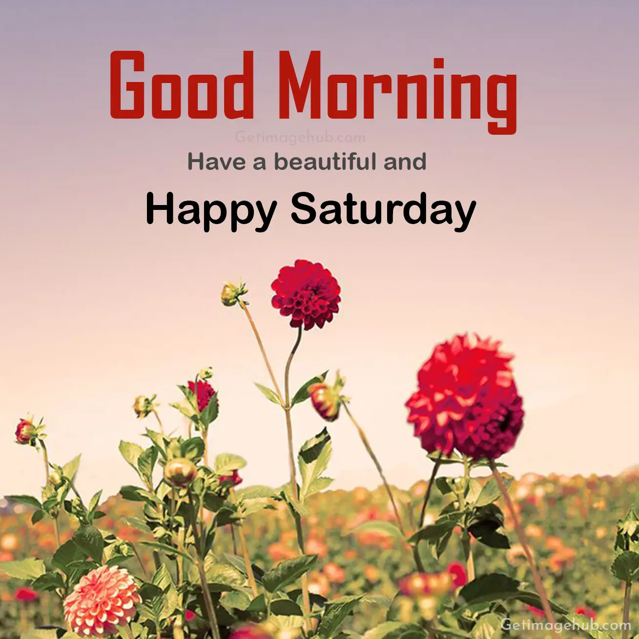 hd good morning saturday images