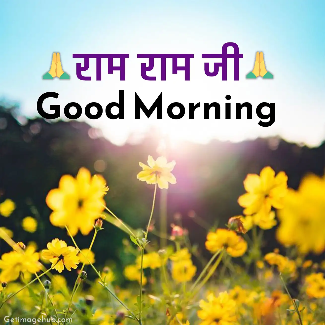 ram ram ji good morning pic