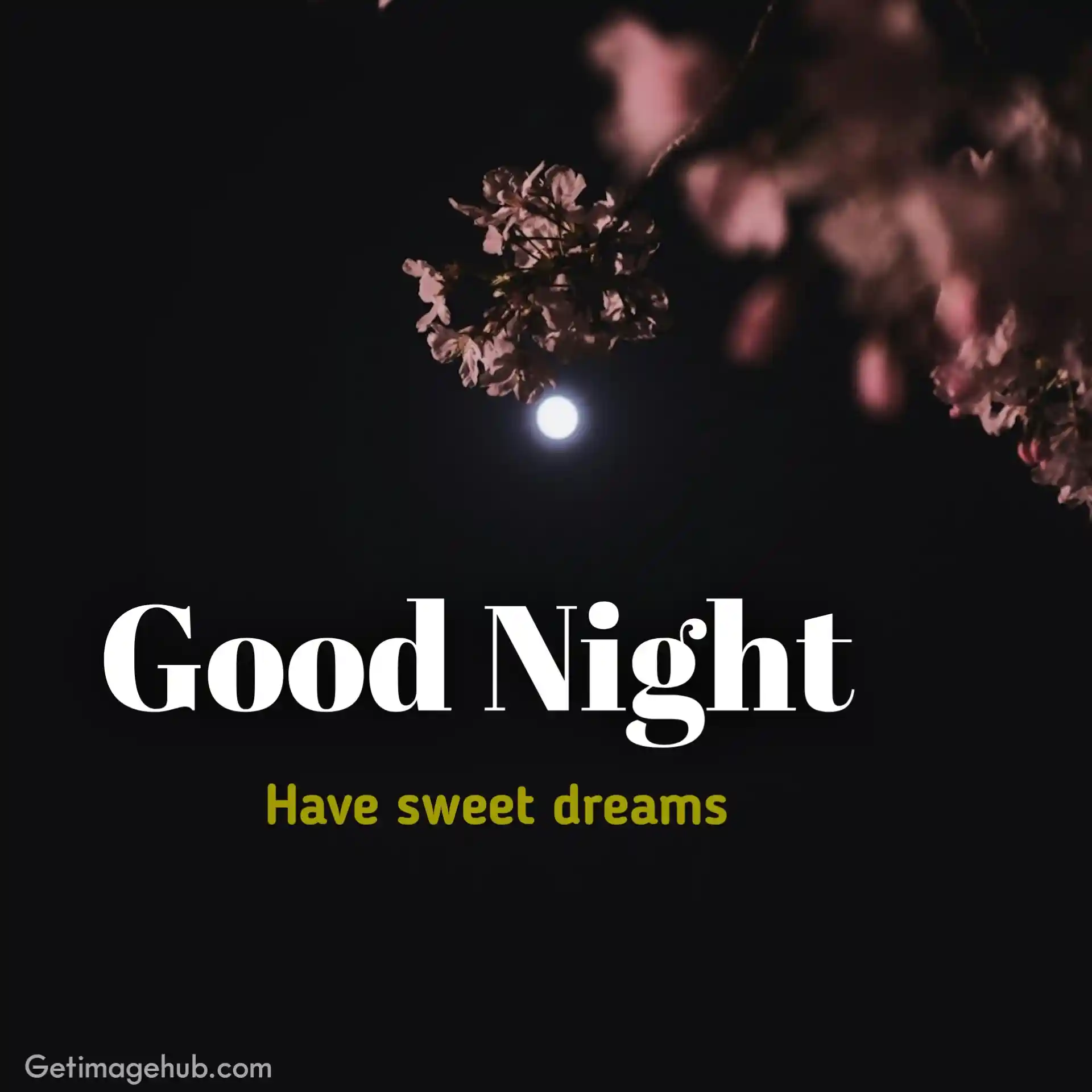 Good Night Friends