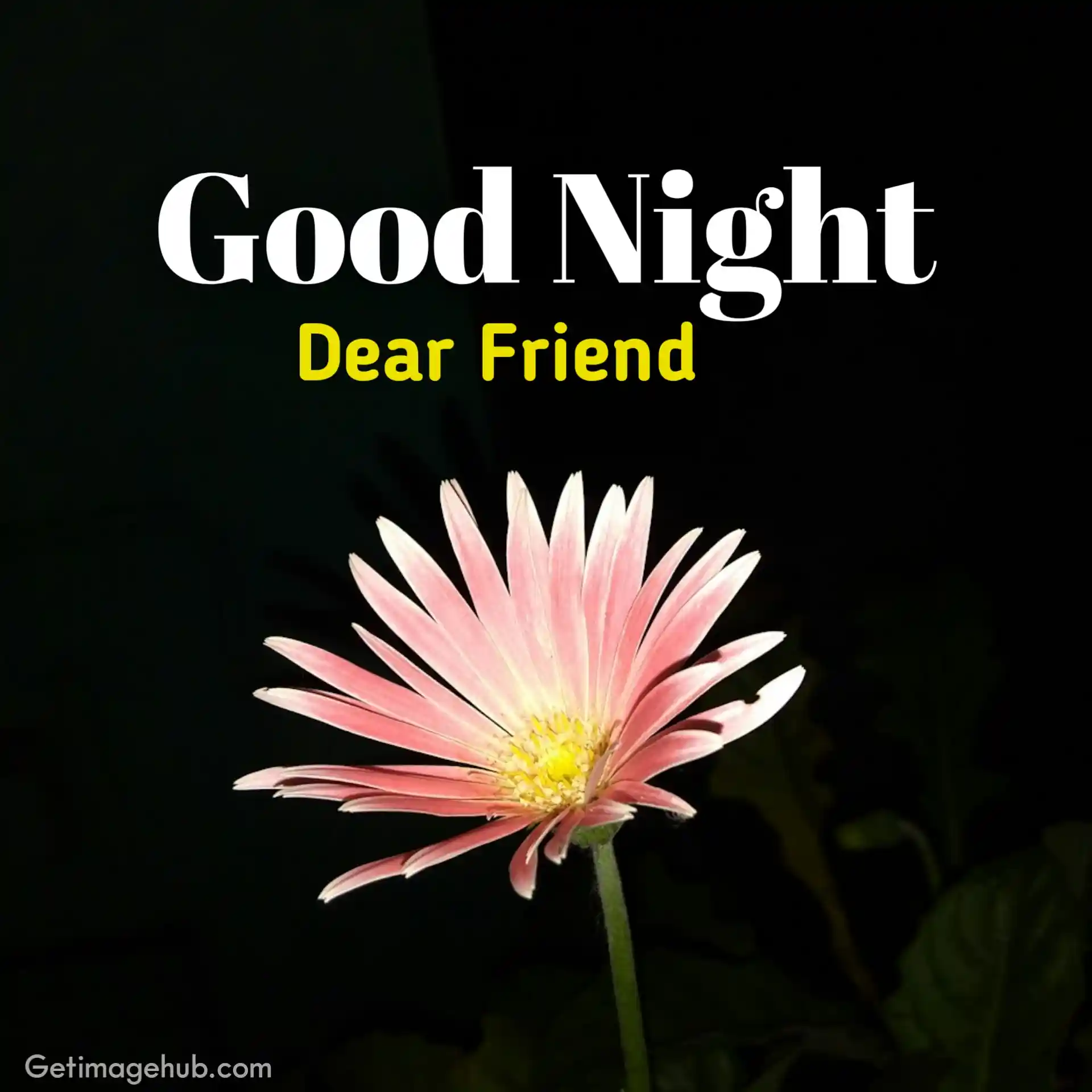 Good Night My Friends Images