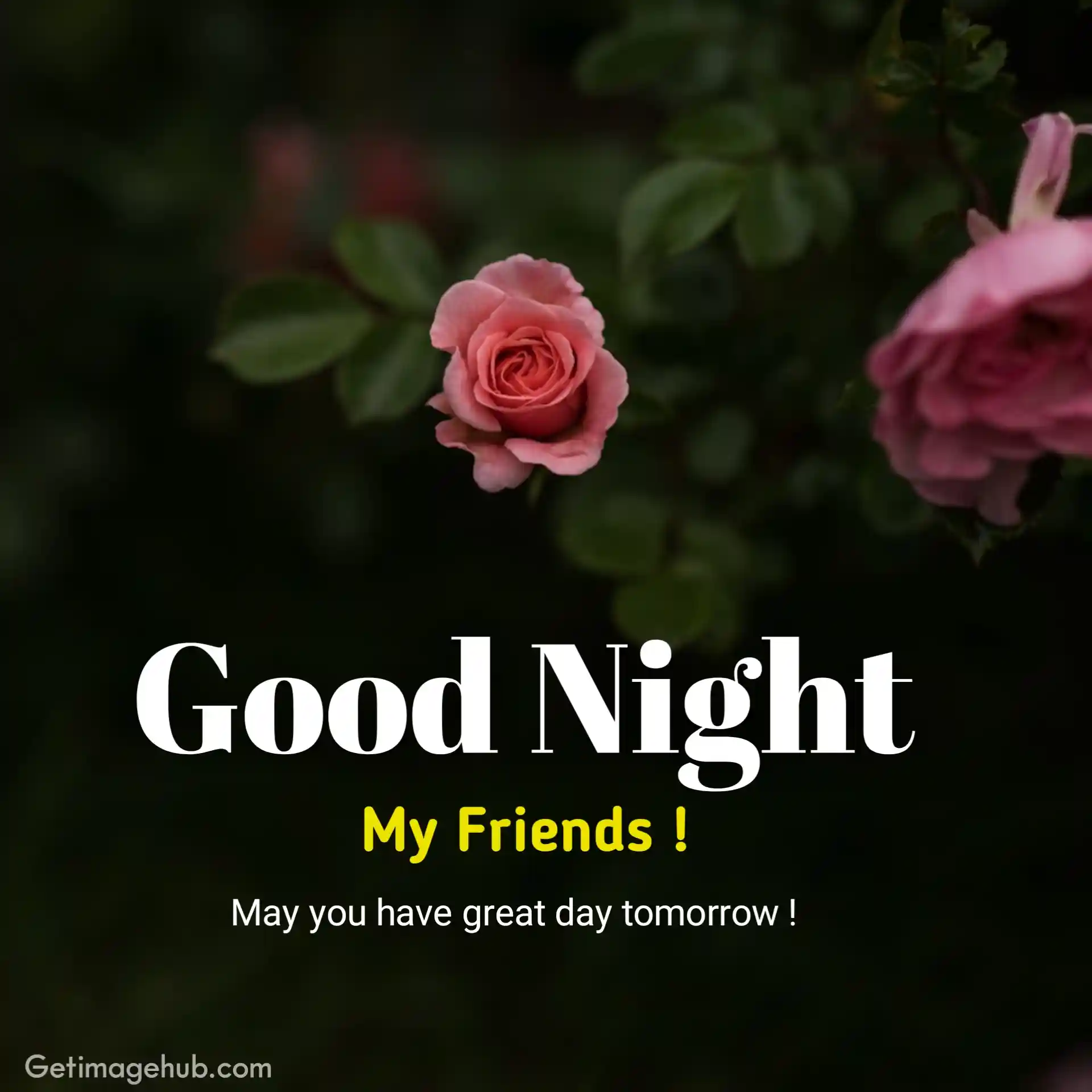 Good Night Friends Images