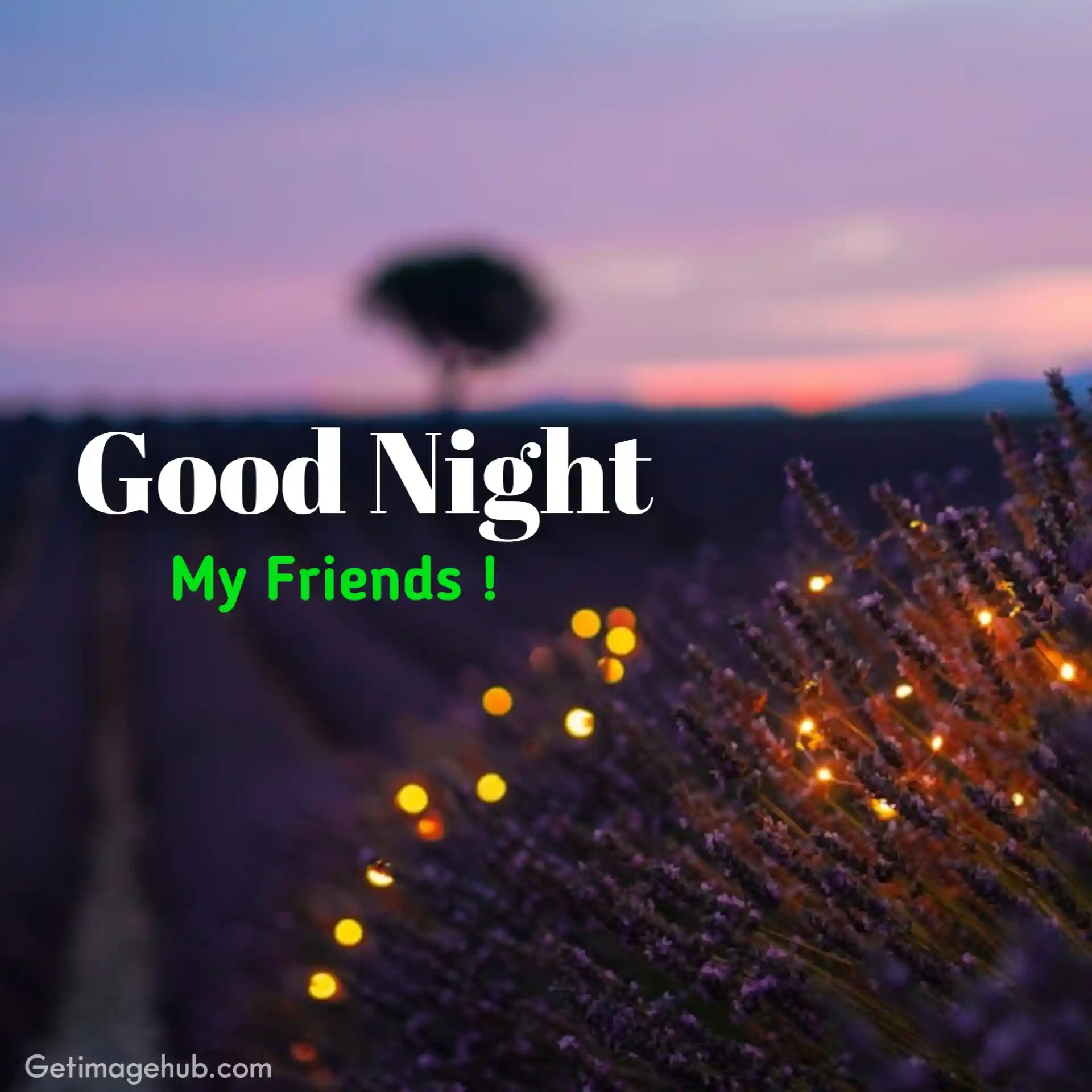 Good Night My Lovely Friends Images