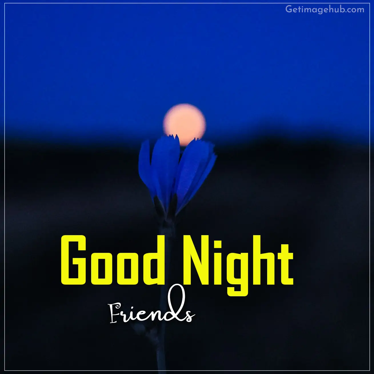 Friends Good Night