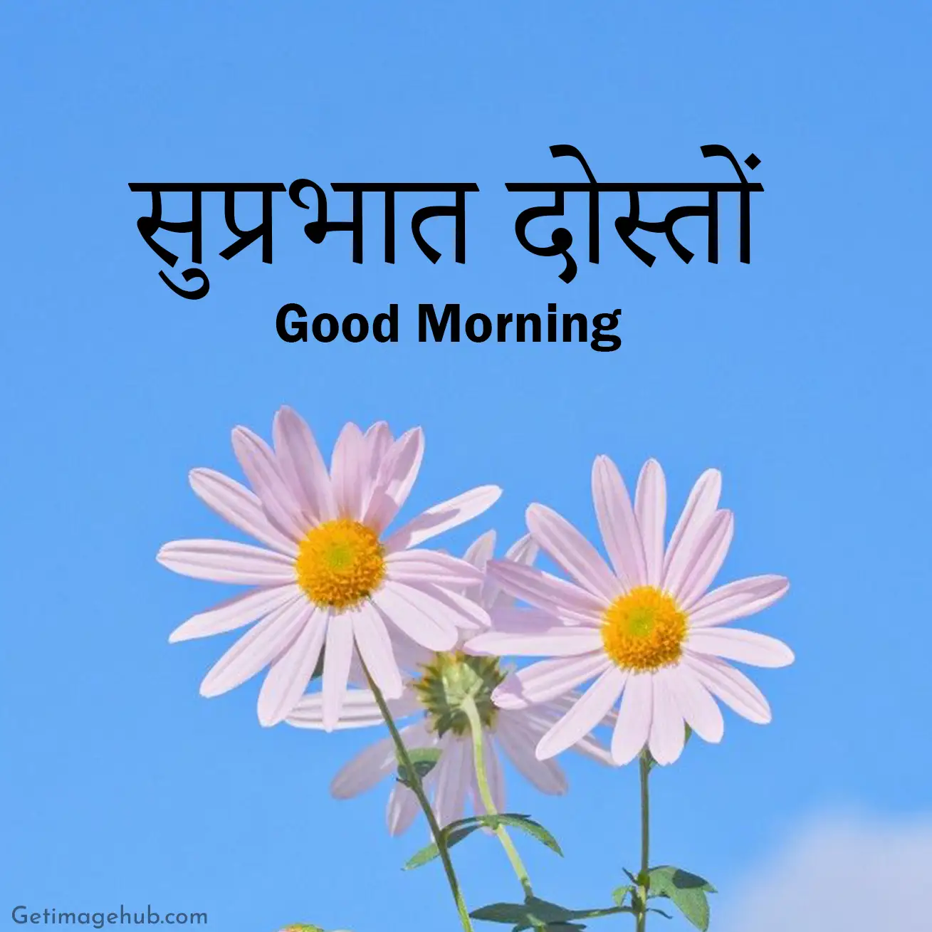 Good Morning Images in Images