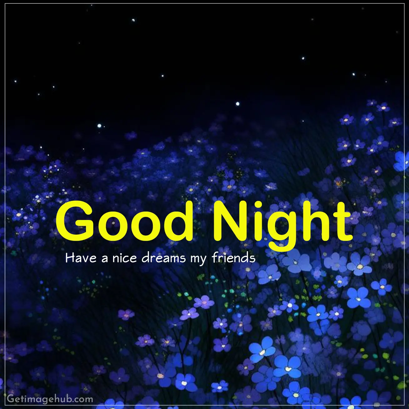 Good Night My Friends