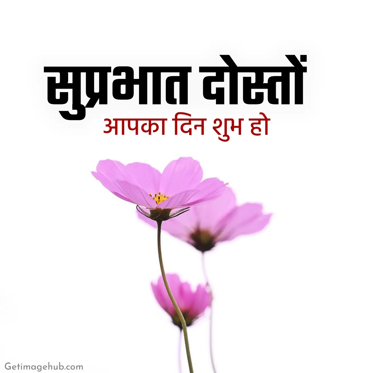 Suprbhat Image with Flower