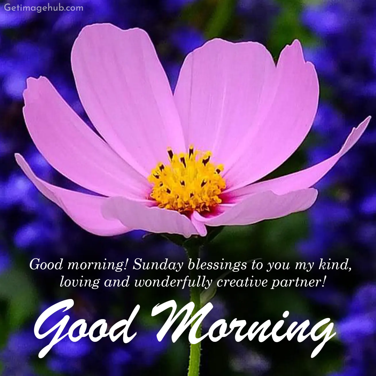 Good Morning Sunday Blessings