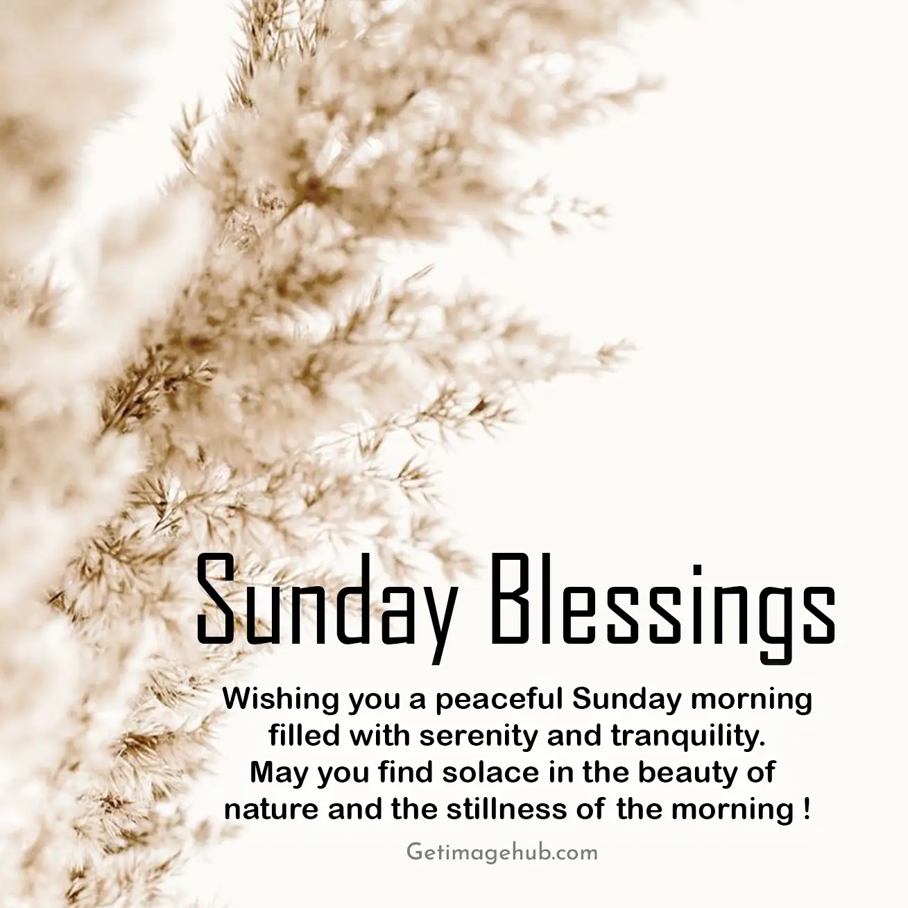 Good Morning Sunday Blessings Pic HD