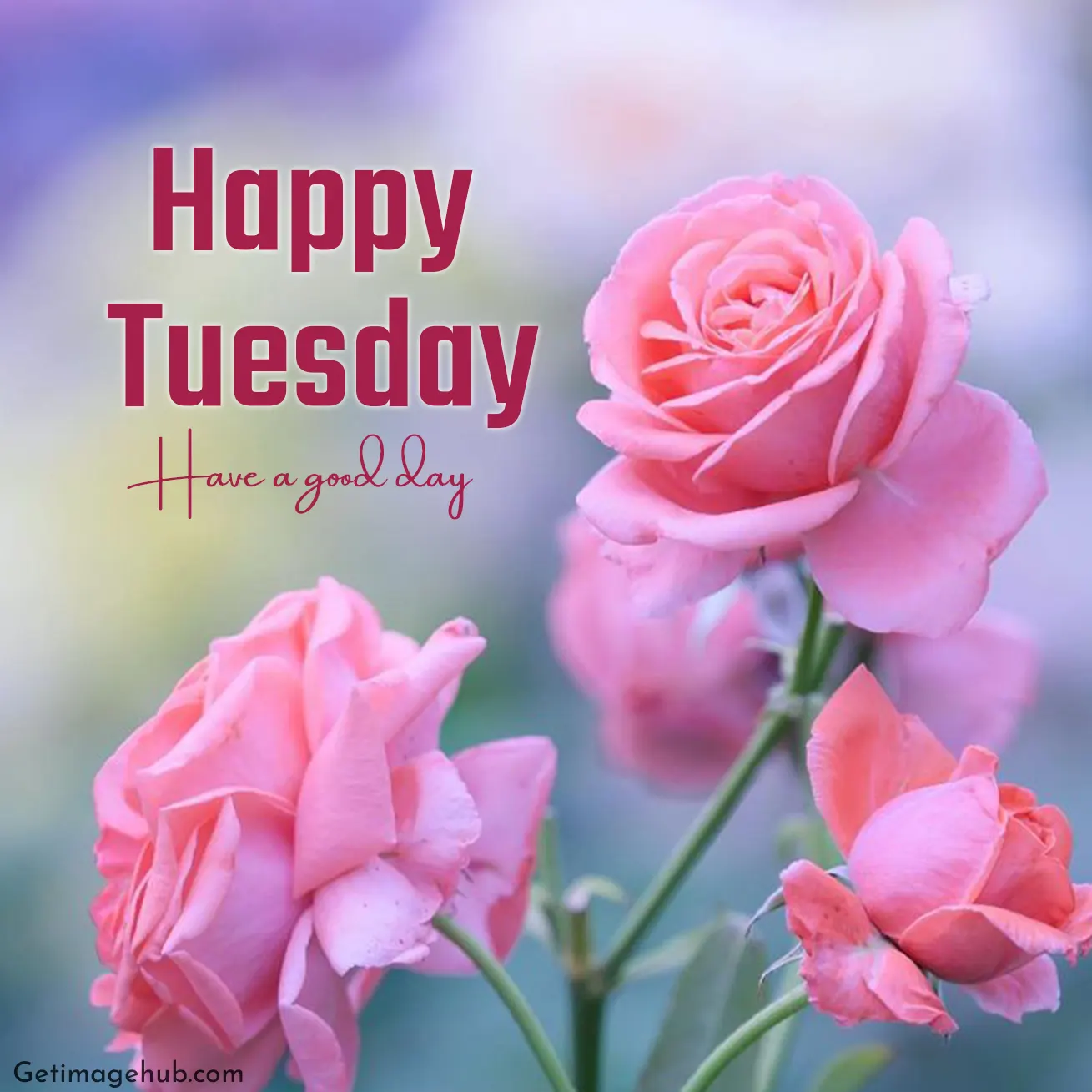 Happy Tuesday Good Morning Image