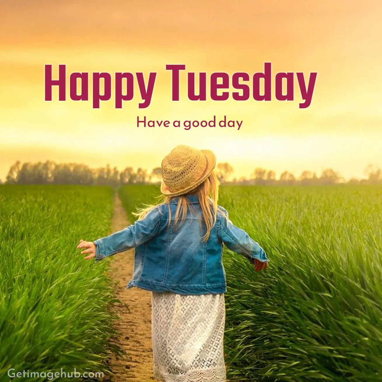 Happy Tuesday Good Morning Pictures