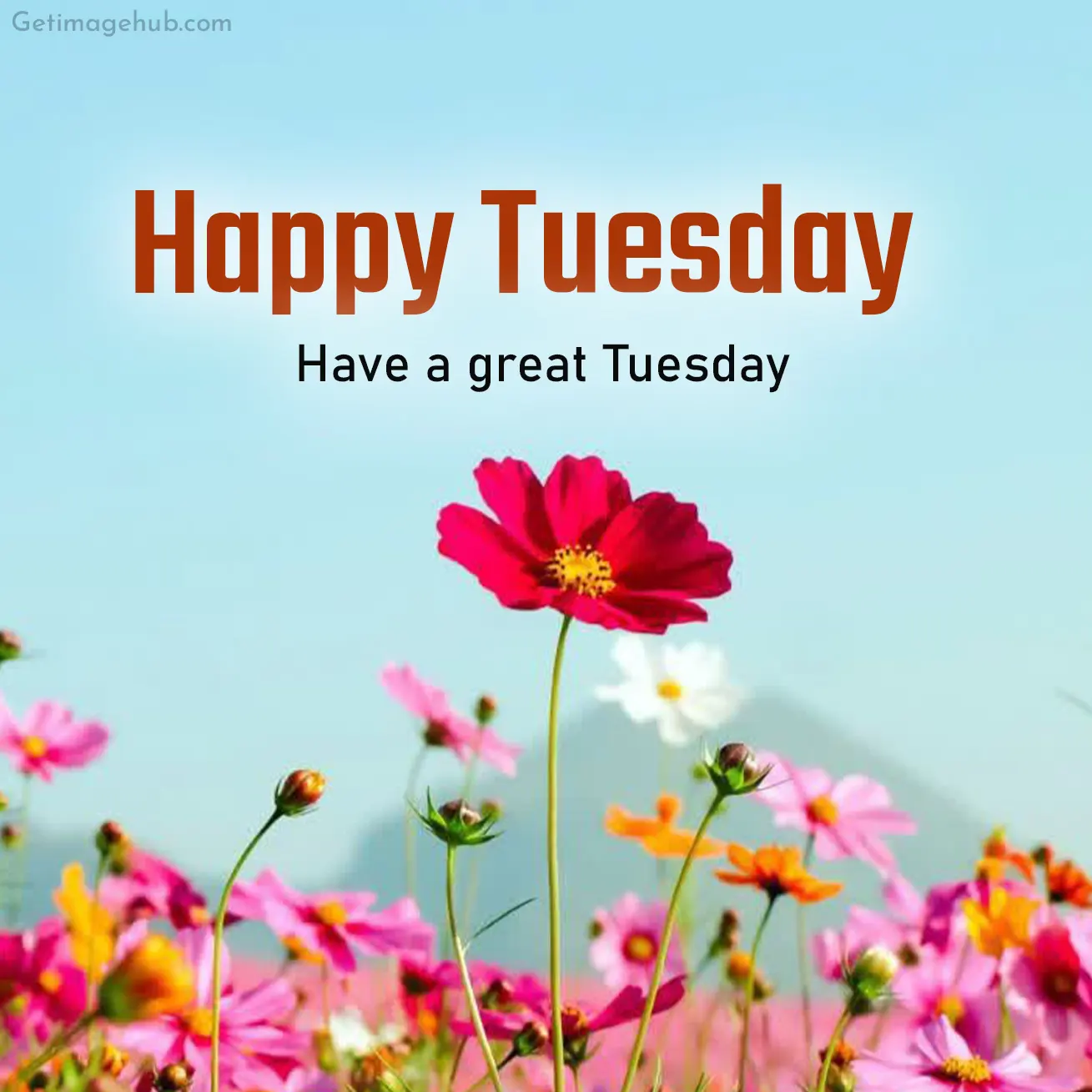 Tuesday Good Morning Picture