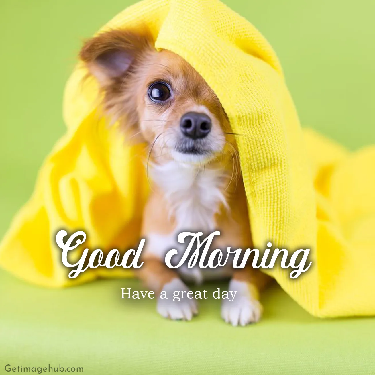 Good Morning Puppy Images