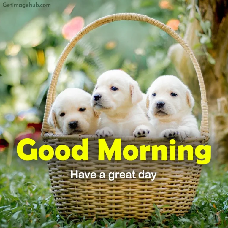 Good Morning Puppy Photo