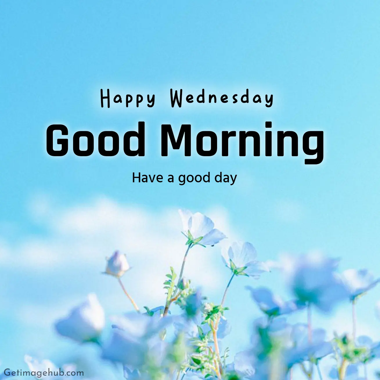 HD Wednesday Good Morning Images