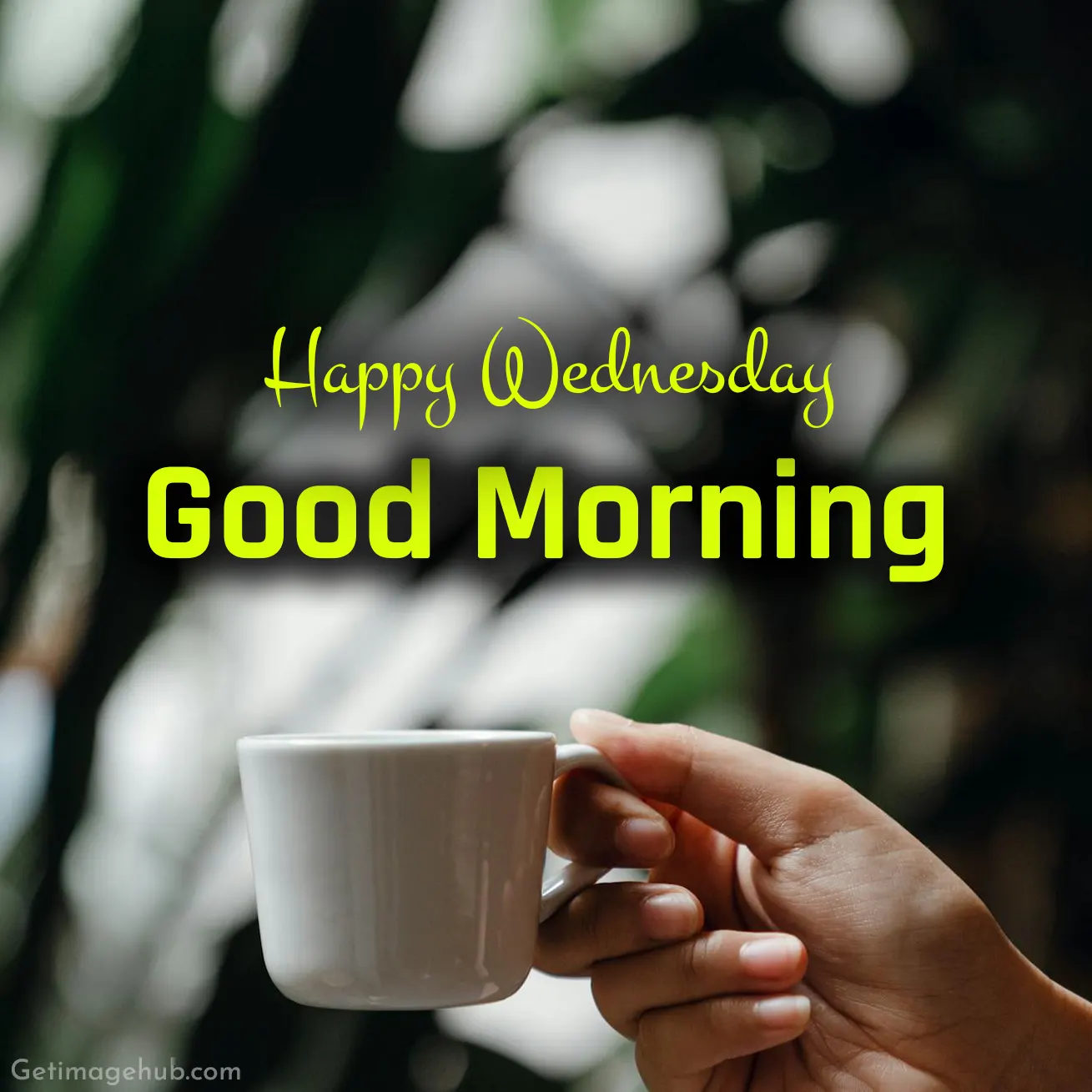 HD Wednesday Morning Pic