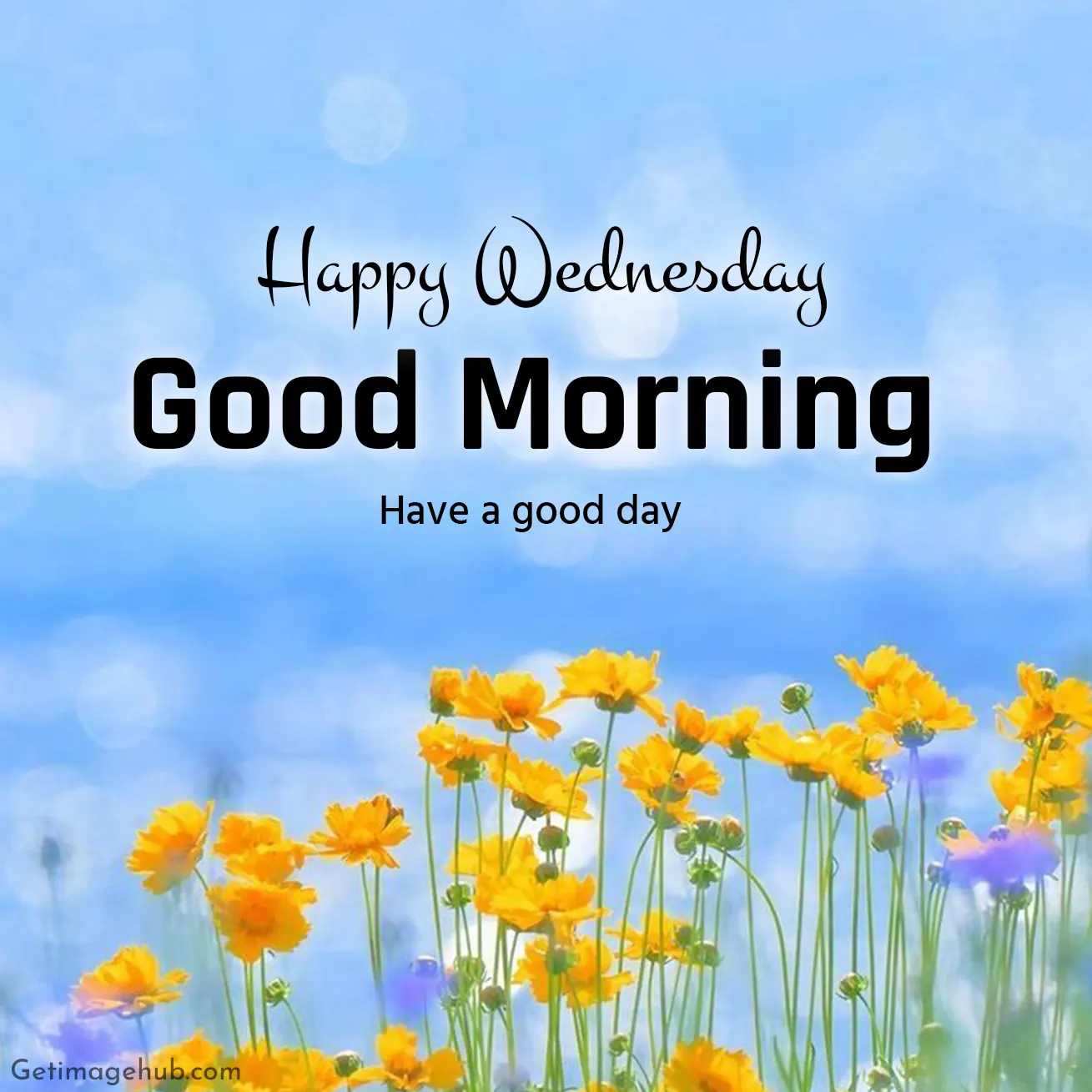 Happy Wednesday Good Morning Photos