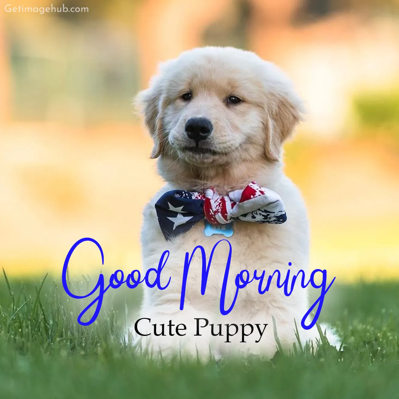 New Good Morning Puppy Pictures