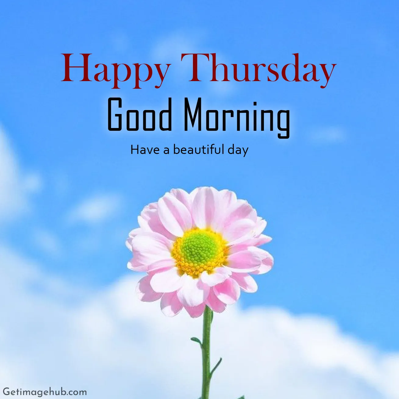Thursday Good Morning Images