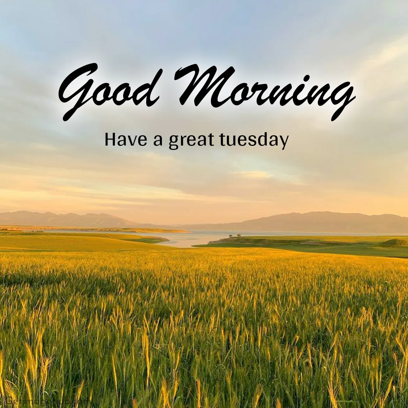 Thursday Morning Images HD