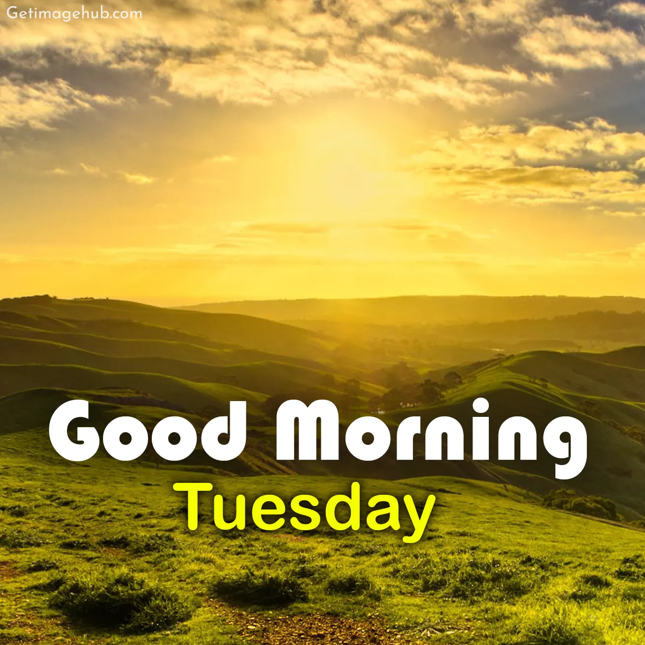 Tuesday Good Morning Image