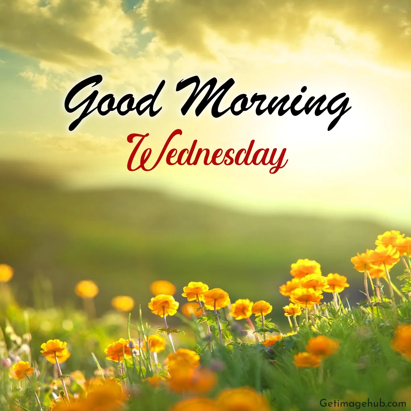Wednesday Good Morning Image HD