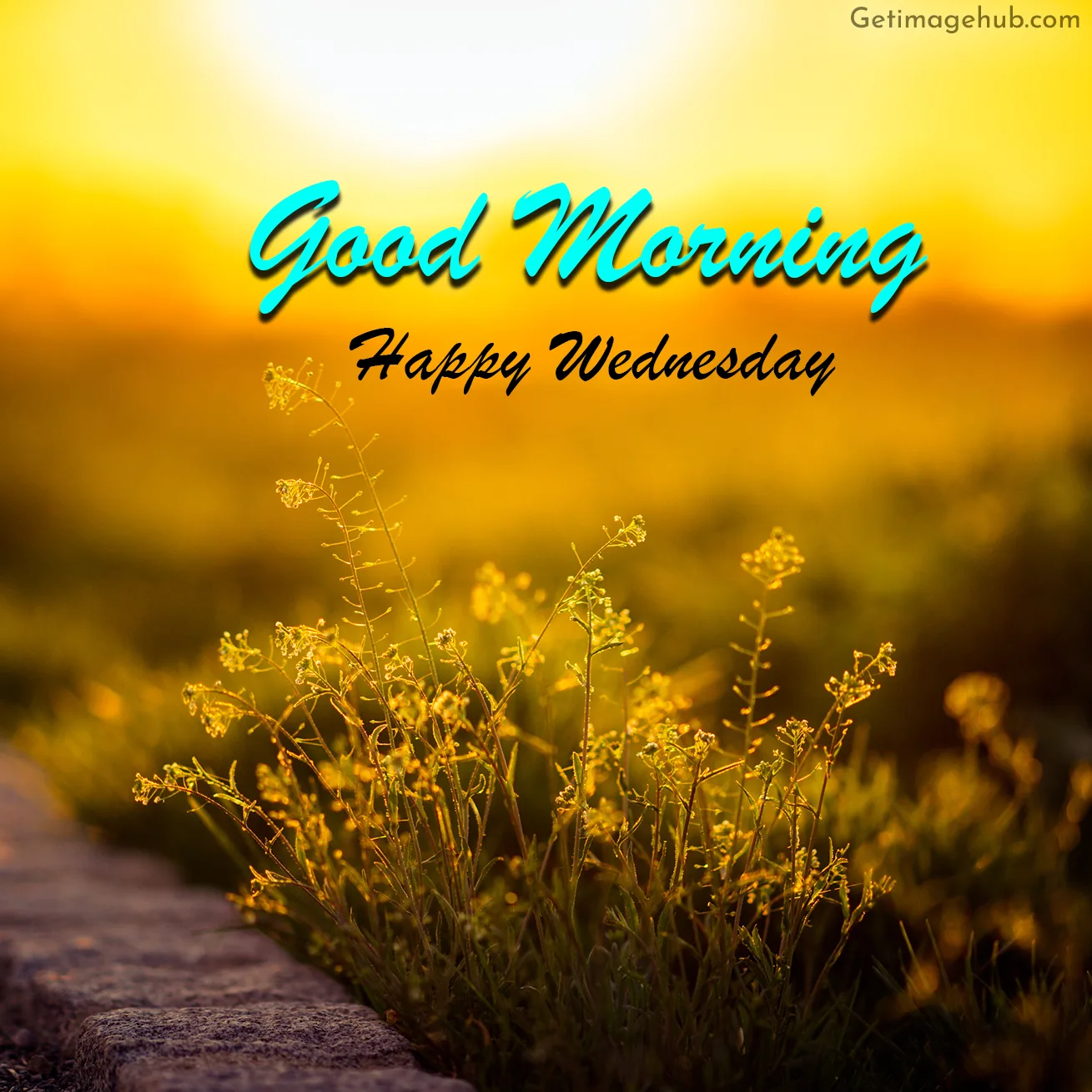 Wednesday Good Morning Image