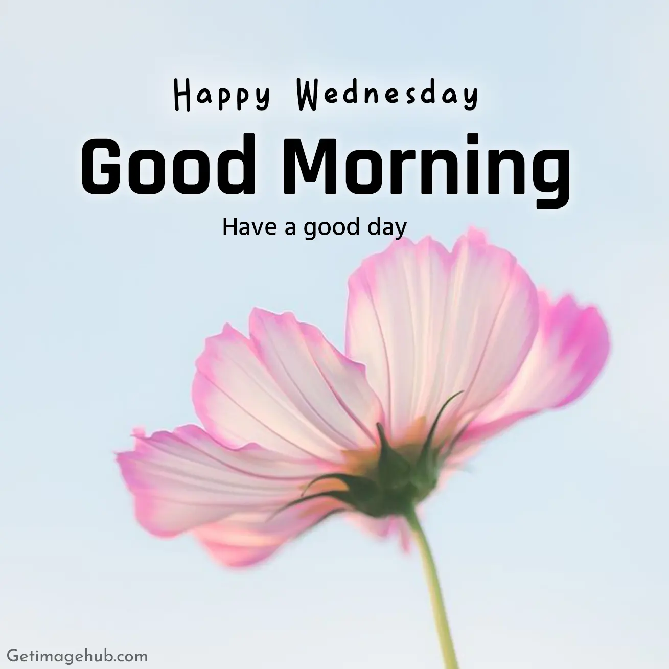 Wednesday Good Morning Pic