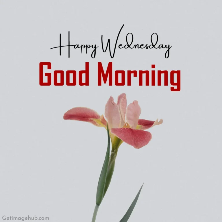 Wednesday Morning Images