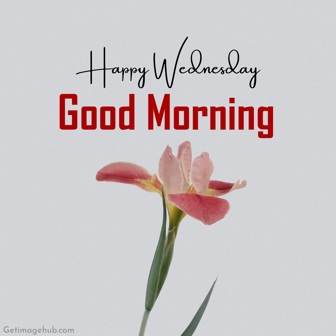Wednesday Morning Images