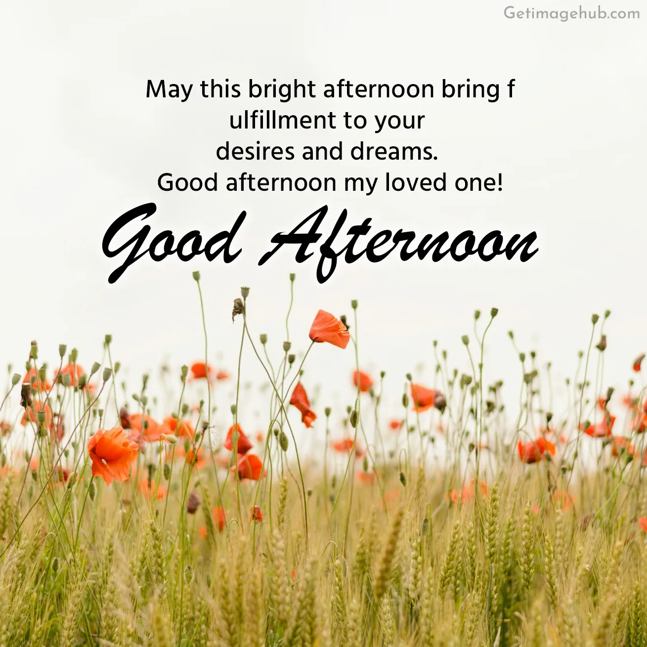 Good Afternoon Greetings Image