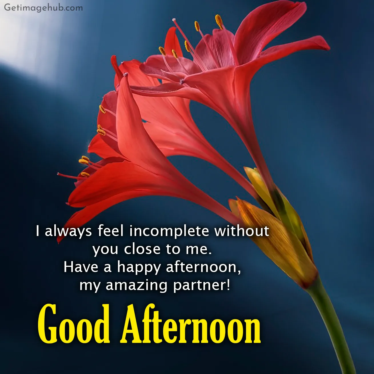 Good Afternoon Greetings Photos