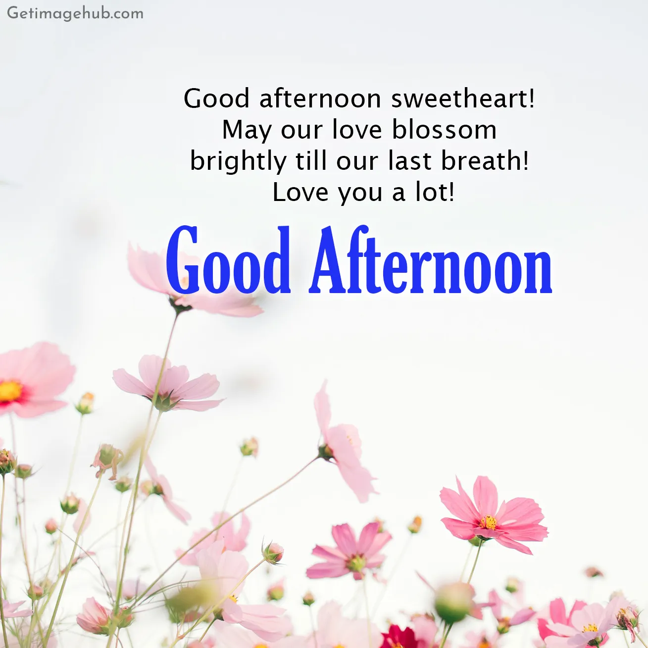 Good Afternoon Greetings Pic