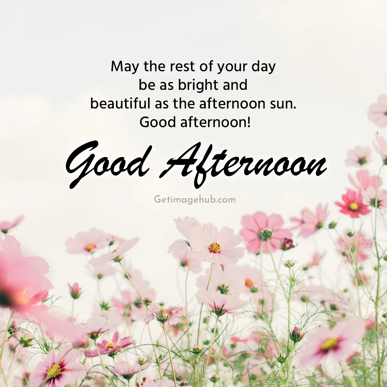 Good Afternoon Greetings