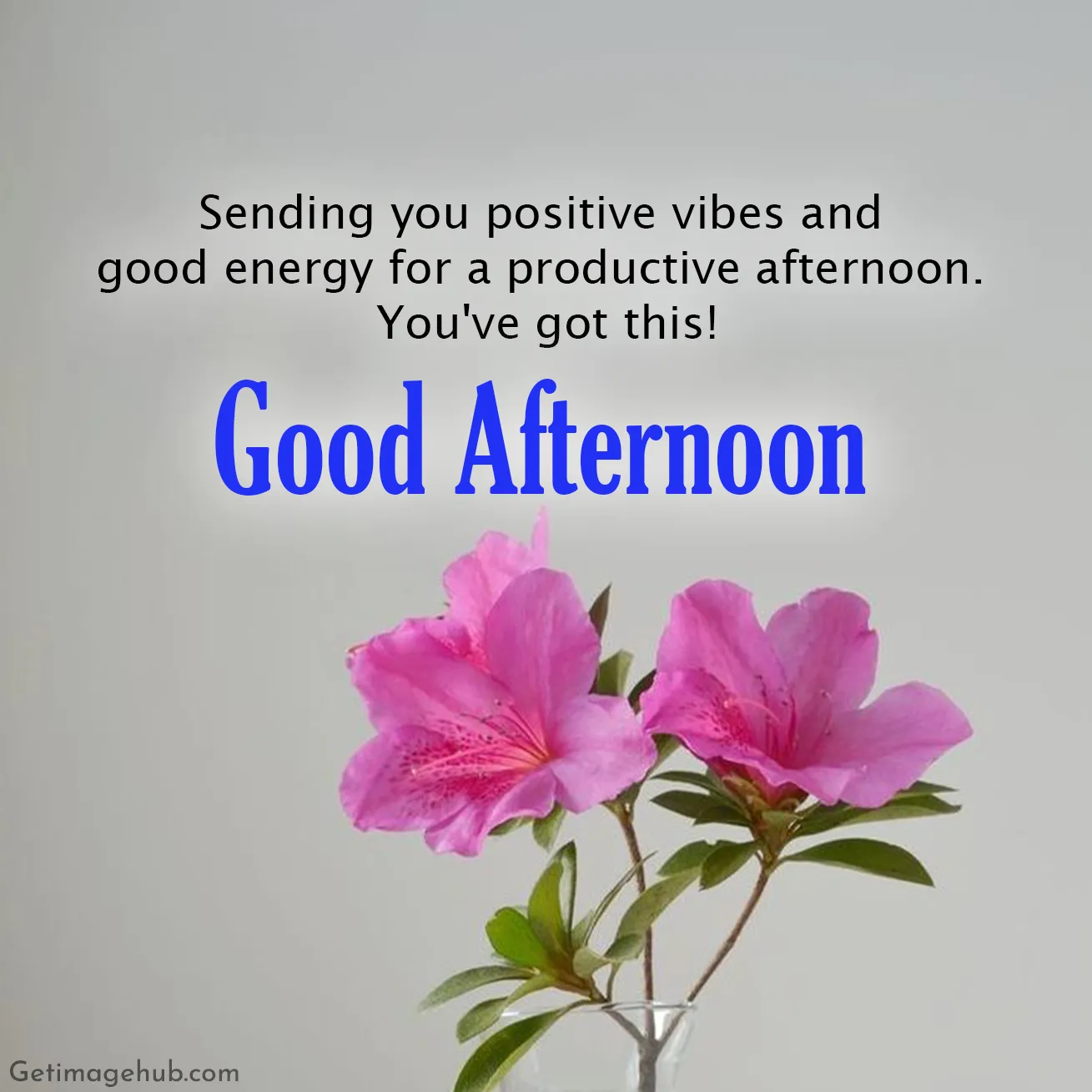 Good Afternoon Messages