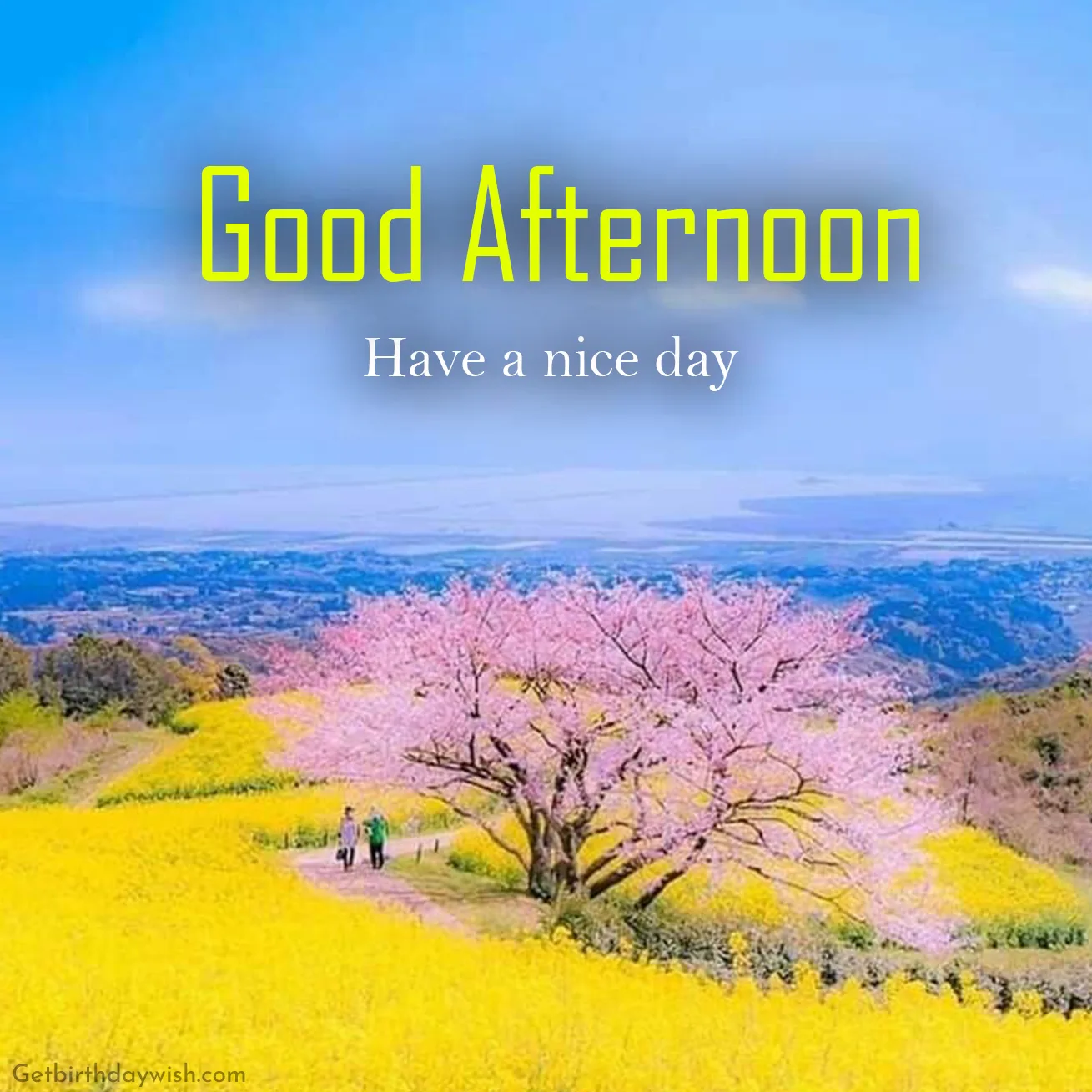 Good Afternoon Pictures