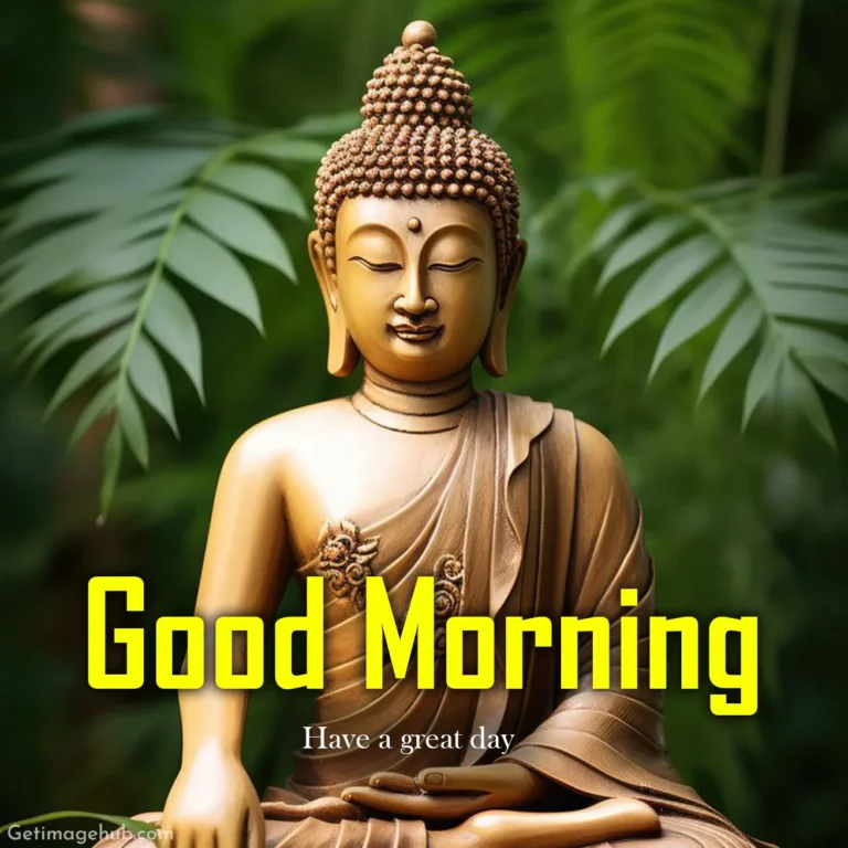 Good Morning Buddha Photos