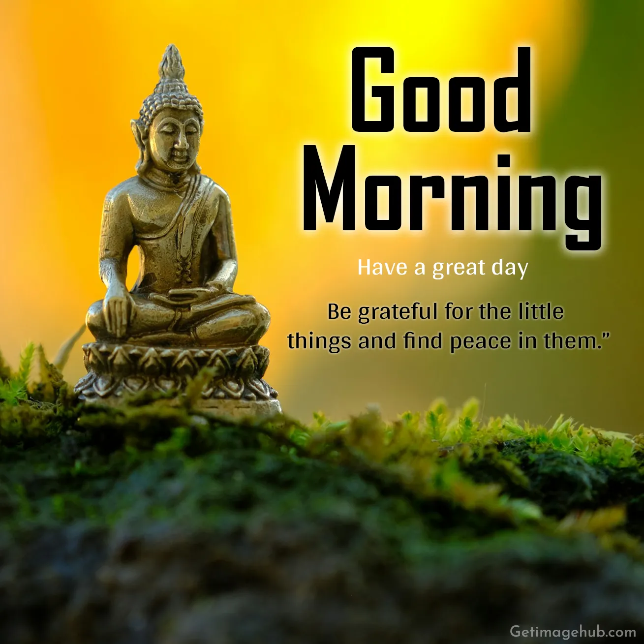 Good Morning Buddha Pictures