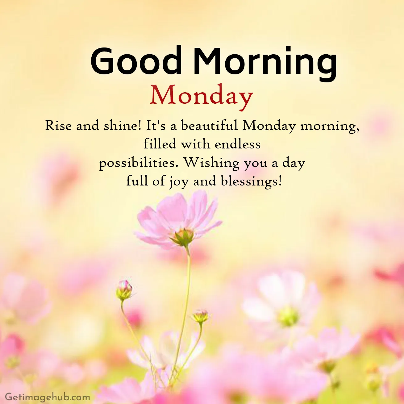 Good Morning Monday Blessings