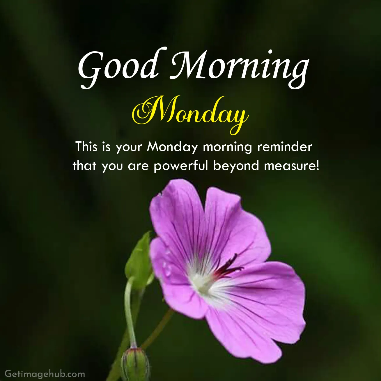 Good Morning Monday Messages