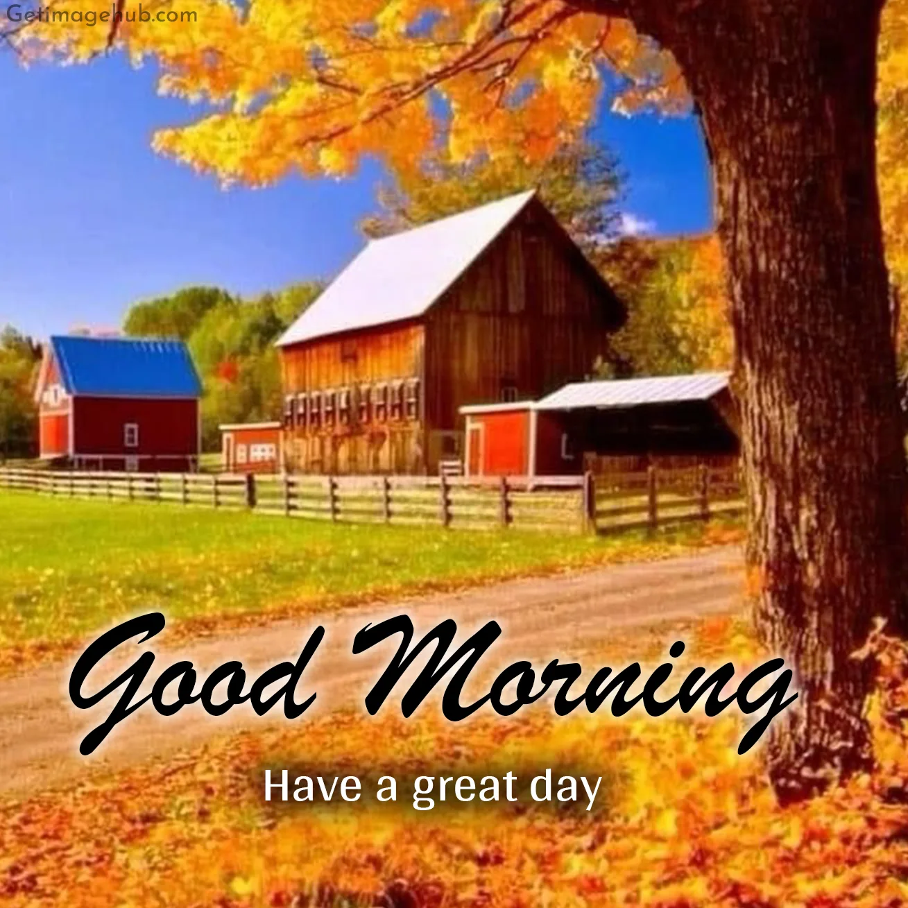 Fall Good Morning Pictures