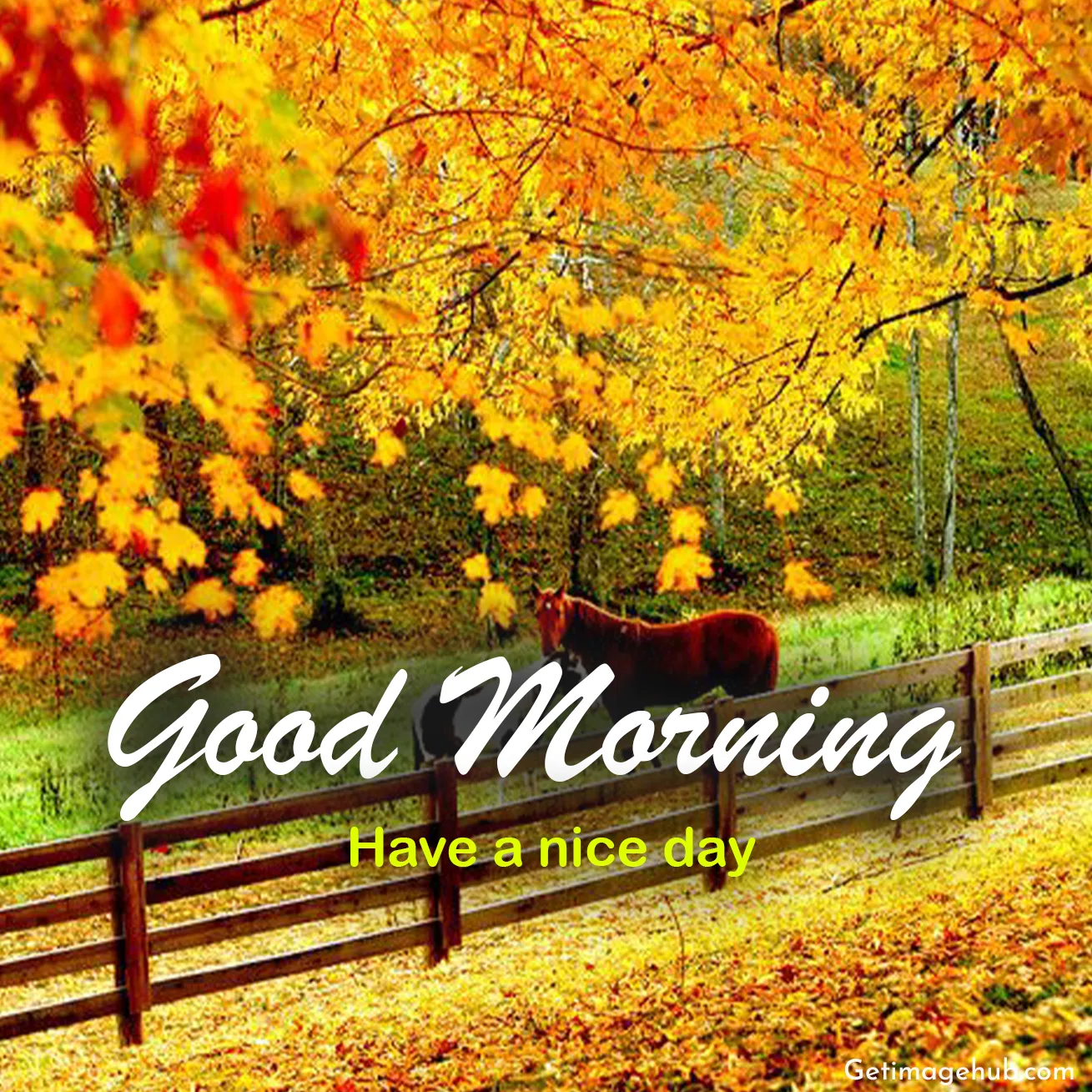 Fall Good Morning Pictures