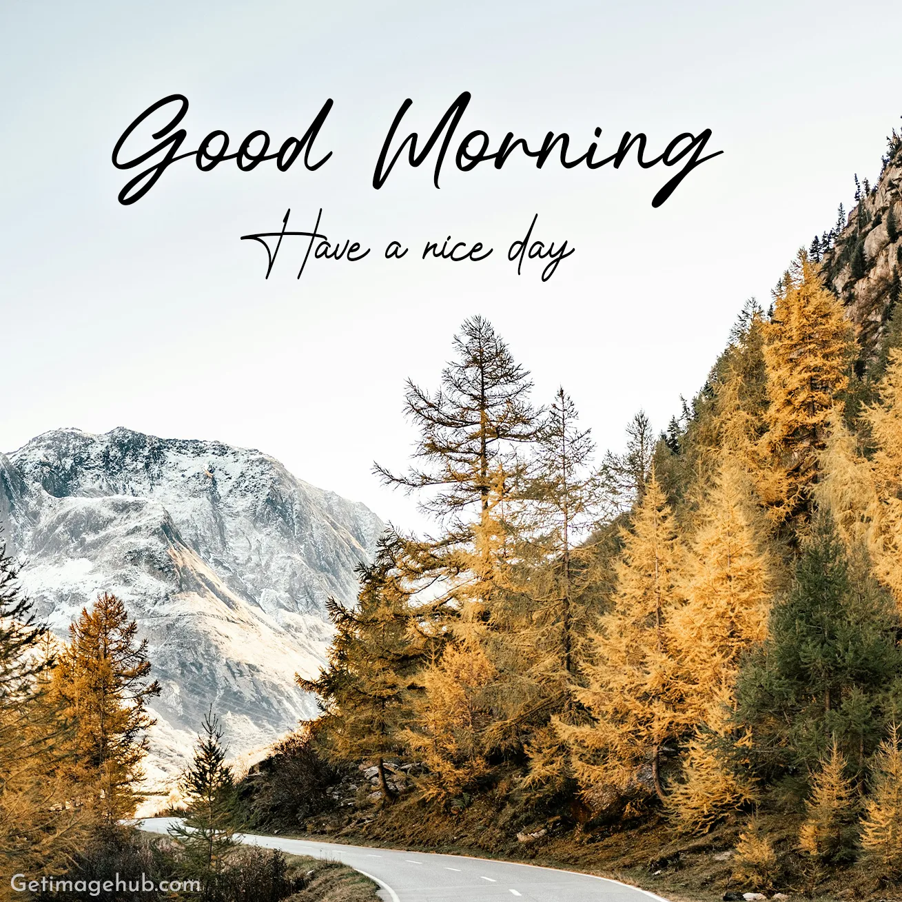 Good Morning Fall Images