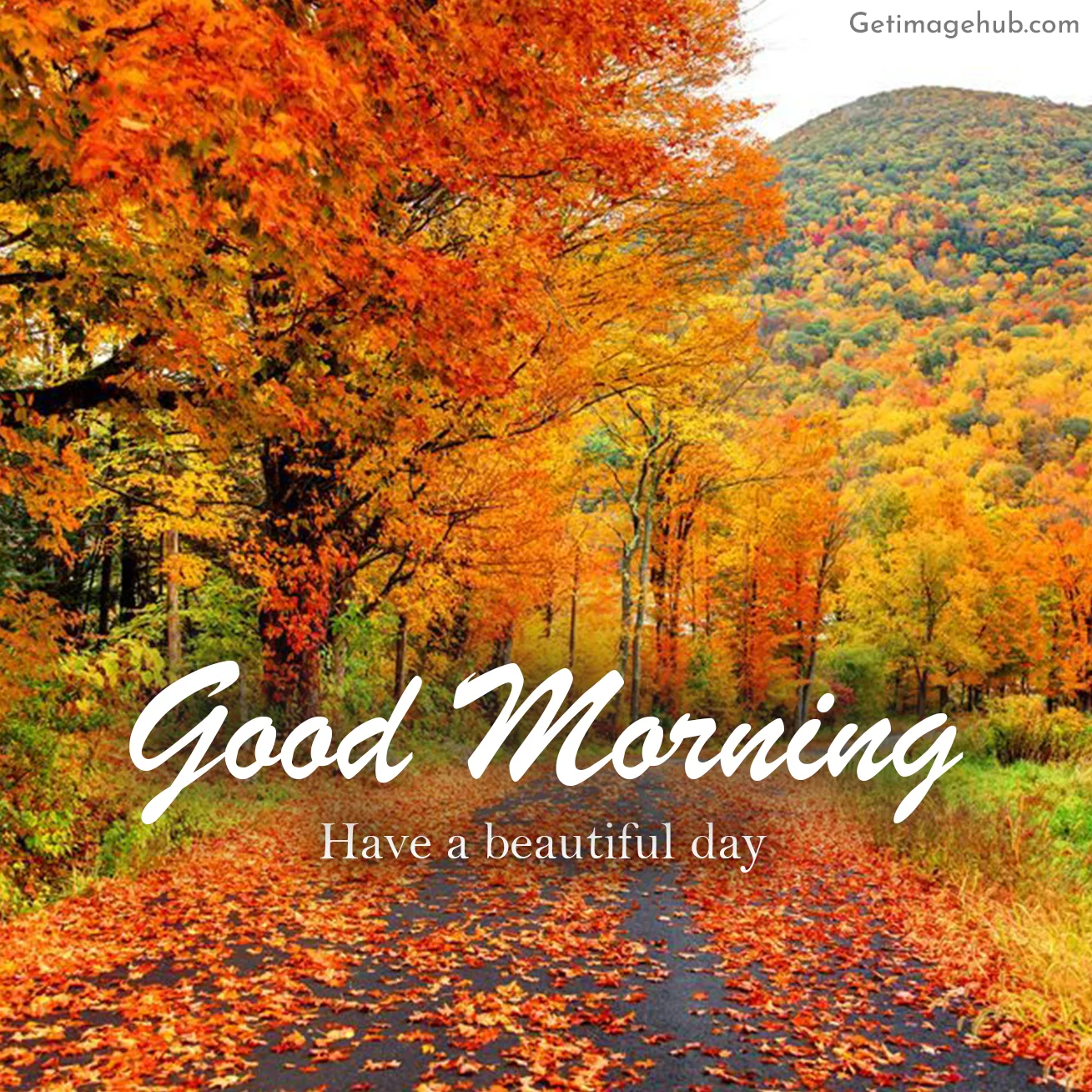 Good Morning Fall Images 2024