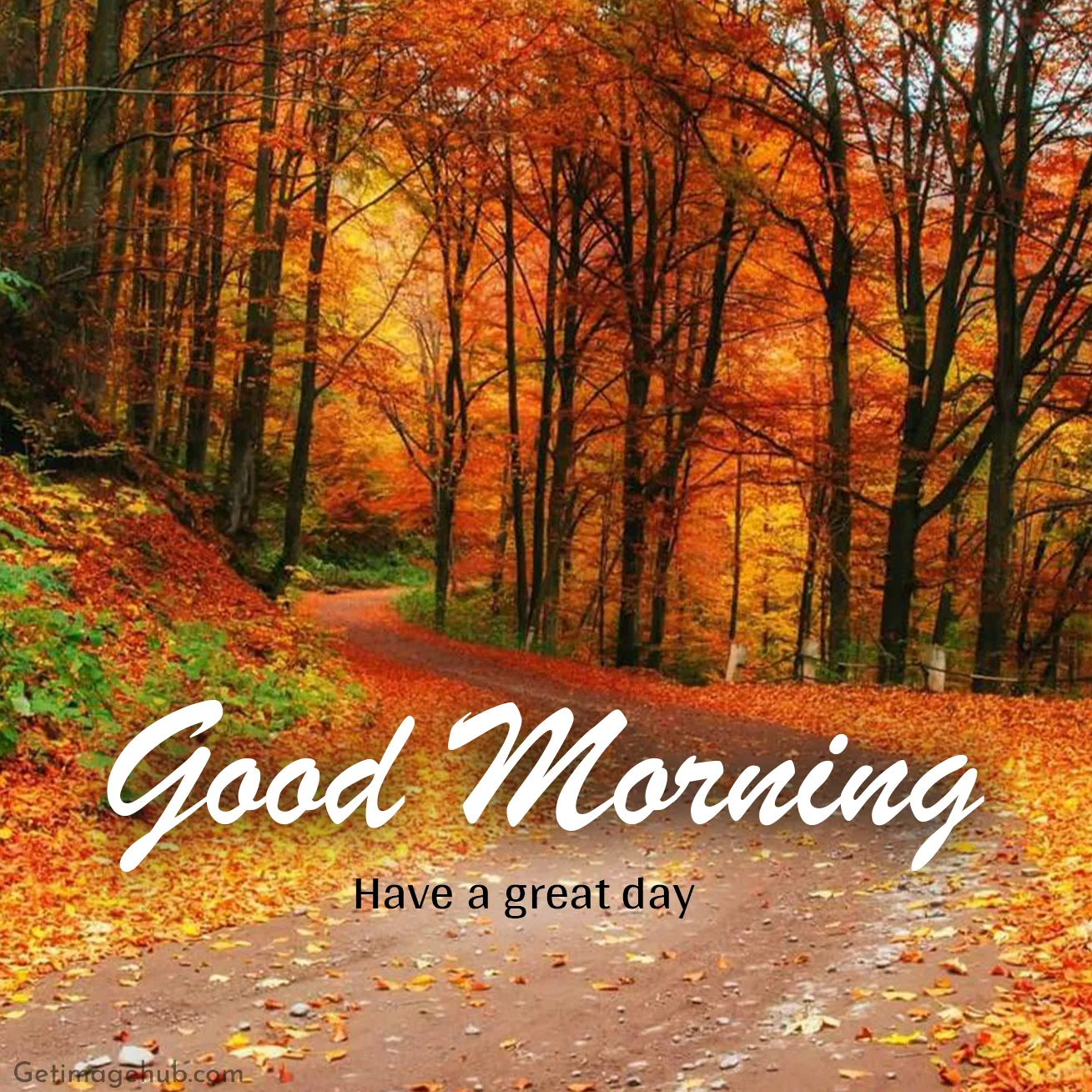 Good Morning Fall Images HD