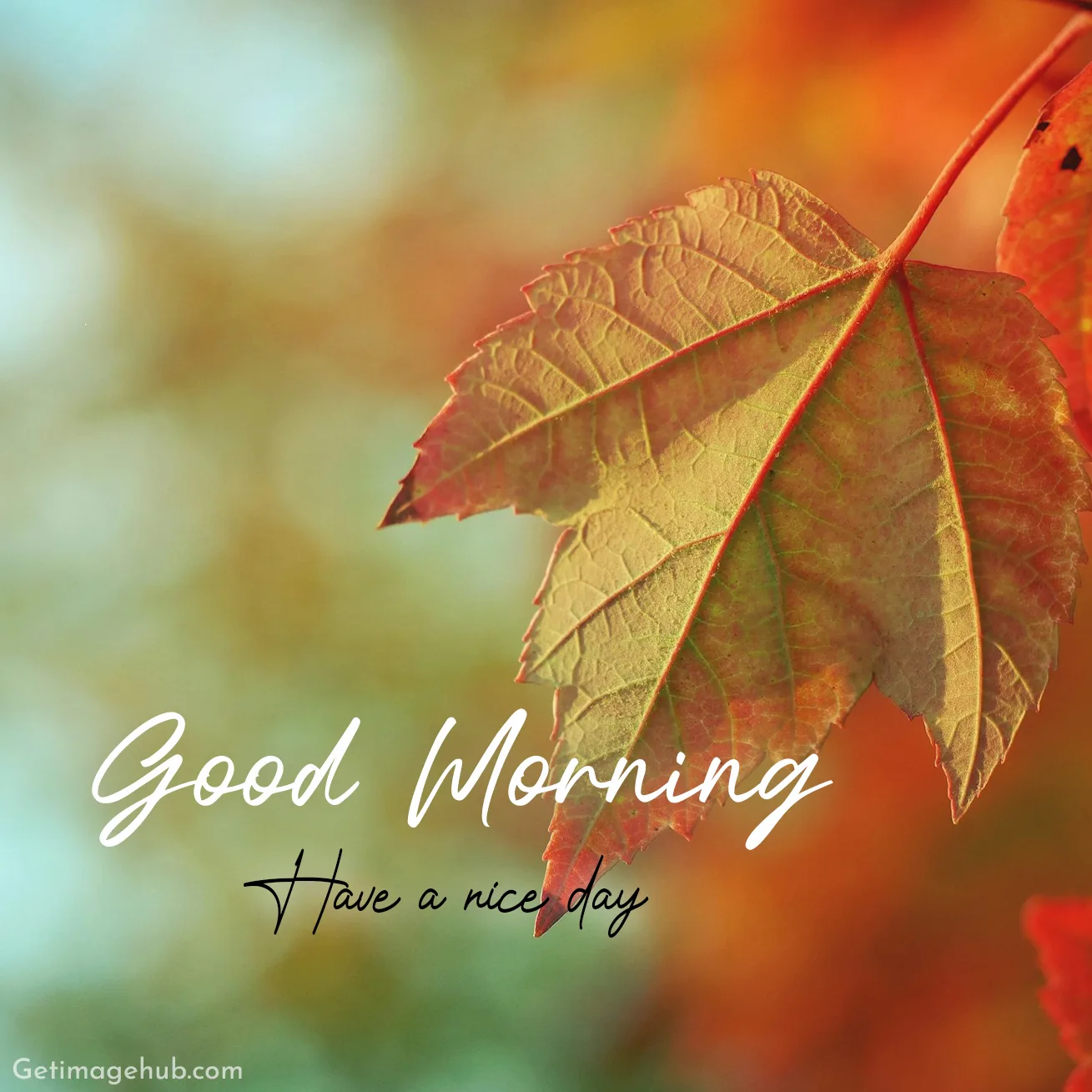 Good Morning Fall Images HD