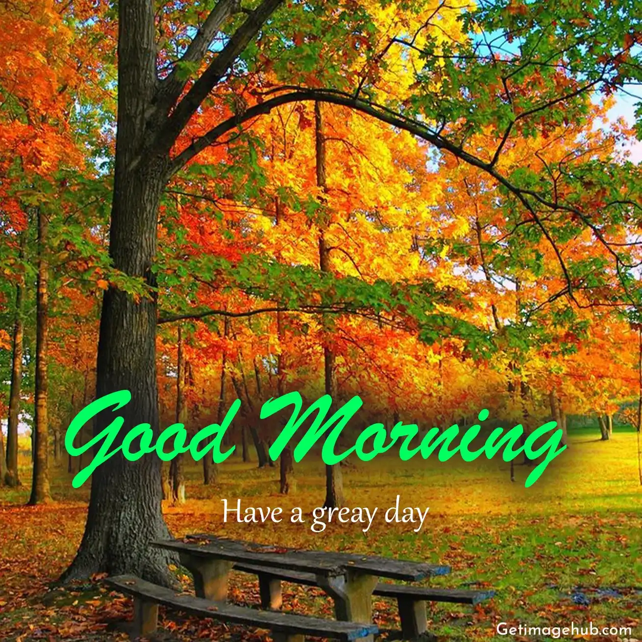 Good Morning Fall Photos