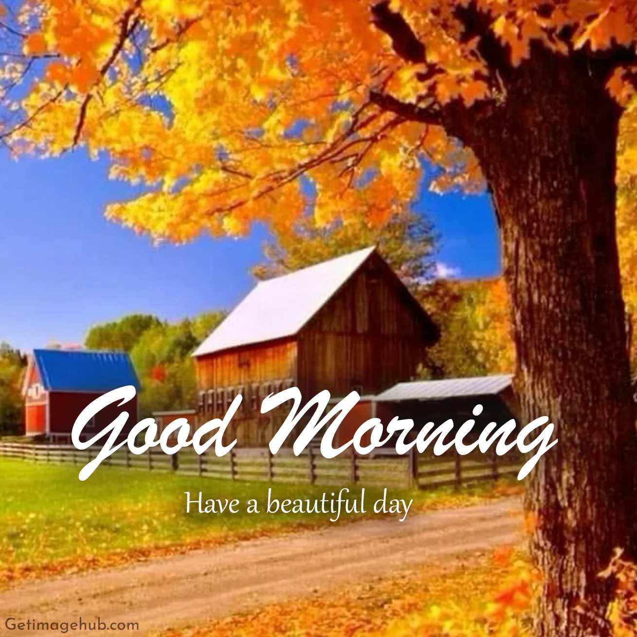 Good Morning Fall Pic